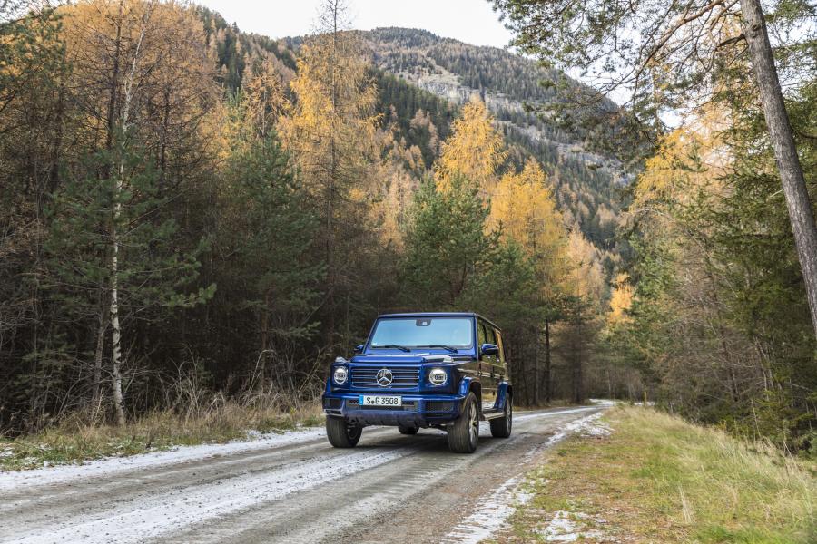  Mercedes-Benz G350 d (W463) 2019 года  (WW) (фото 27 из 41)